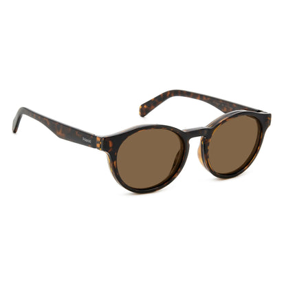 PLD 0031/R/C